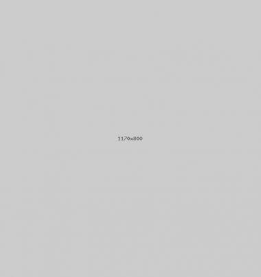 Travel Premium Theme